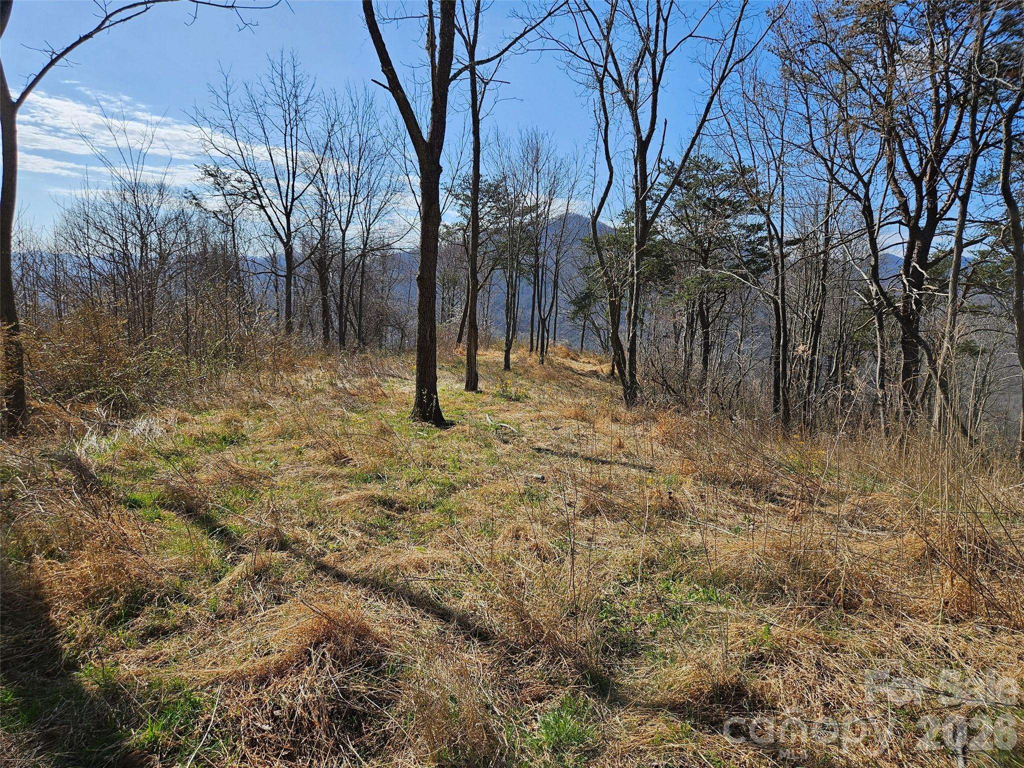 989 High Rock View DR, Canton, NC 28716
