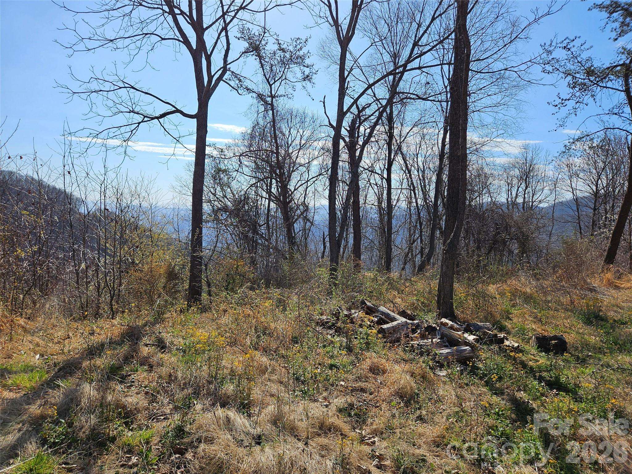 989 High Rock View DR, Canton, NC 28716