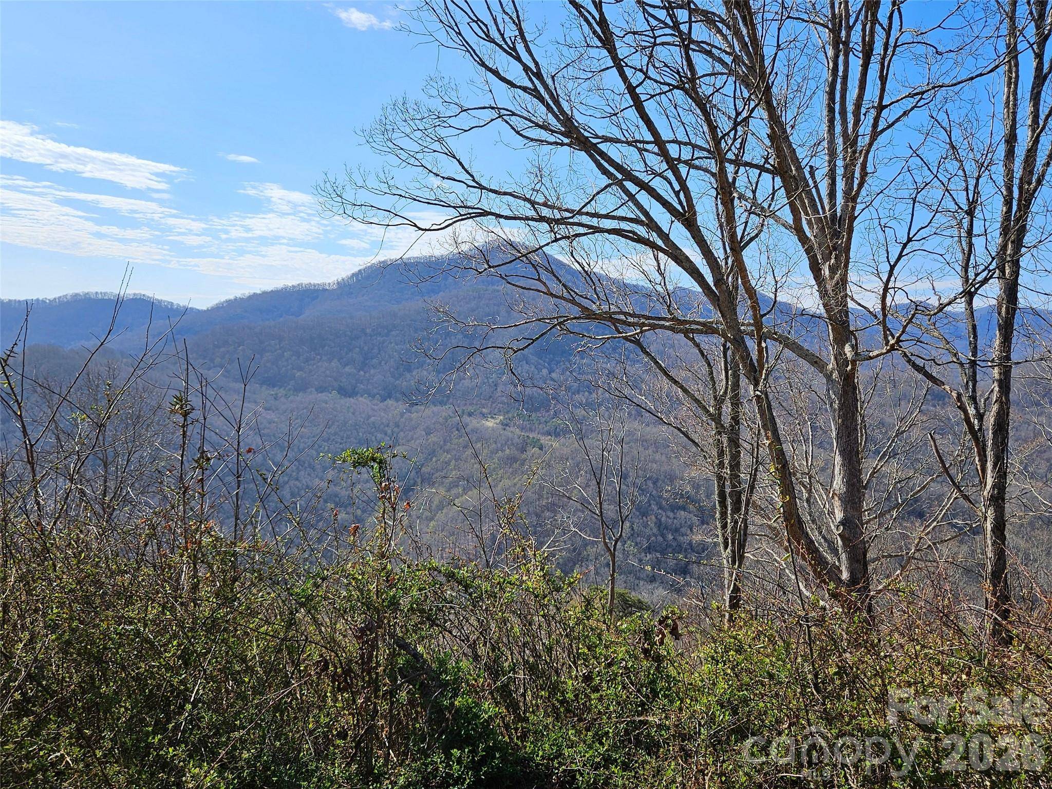 989 High Rock View DR, Canton, NC 28716