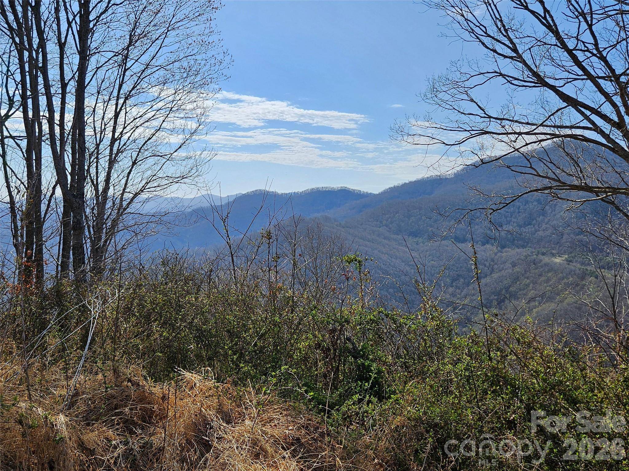 989 High Rock View DR, Canton, NC 28716