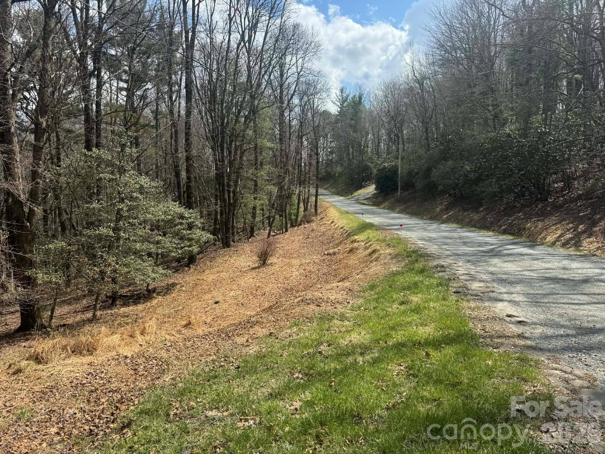 TBD Ward Circle DR #33, Sparta, NC 28675