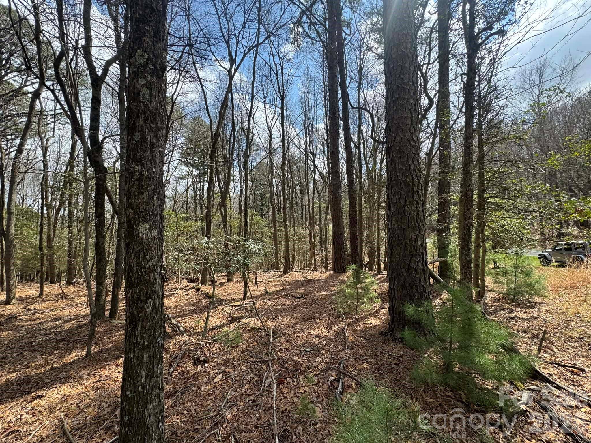 TBD Ward Circle DR #33, Sparta, NC 28675