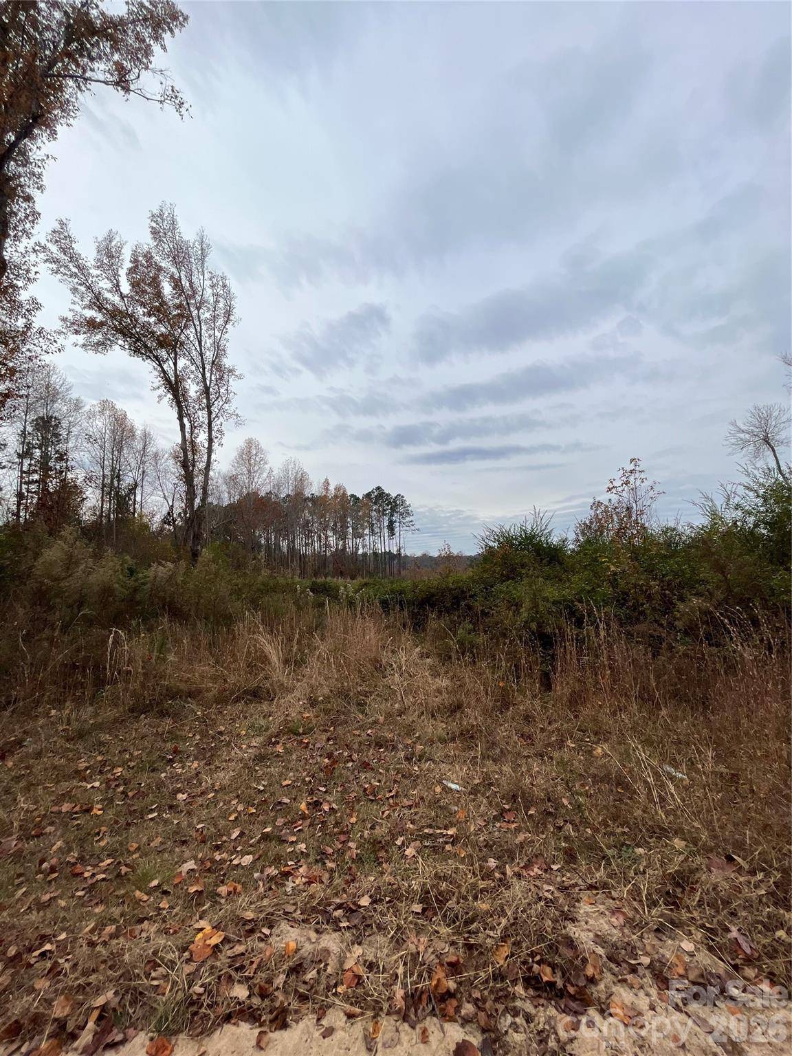 TBD Wire 2 RD, Cheraw, SC 29520