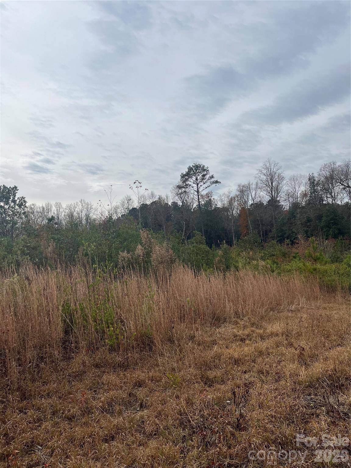 TBD Wire 2 RD, Cheraw, SC 29520