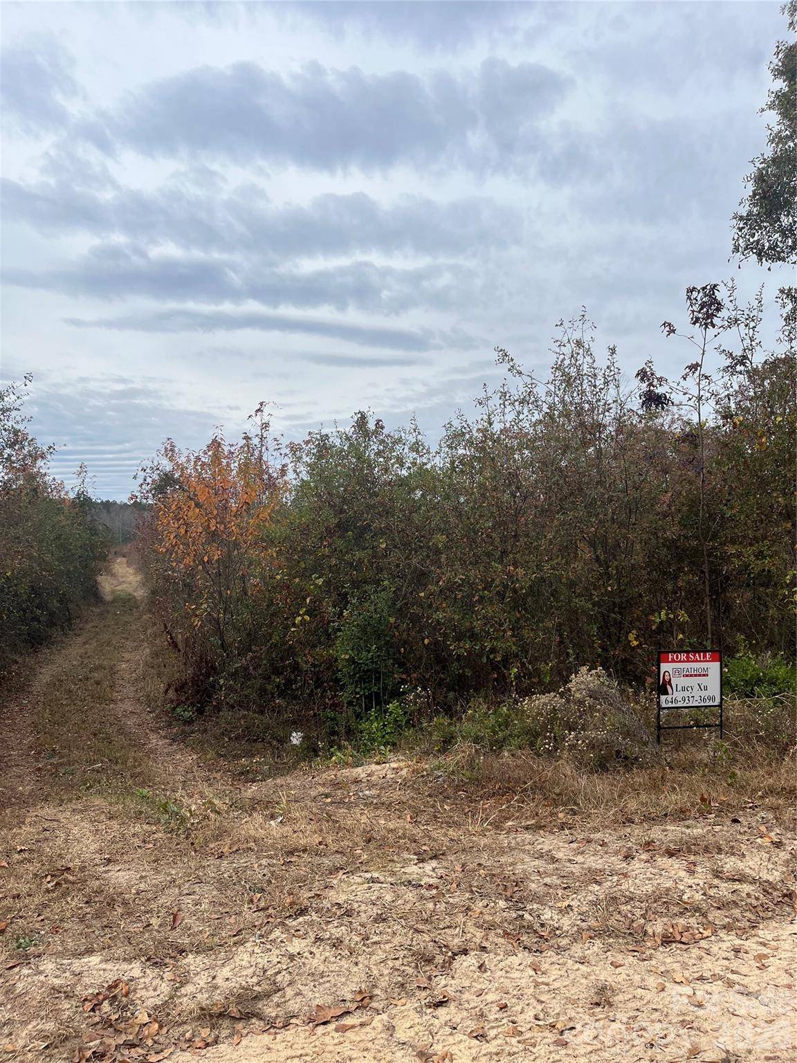TBD Wire 2 RD, Cheraw, SC 29520