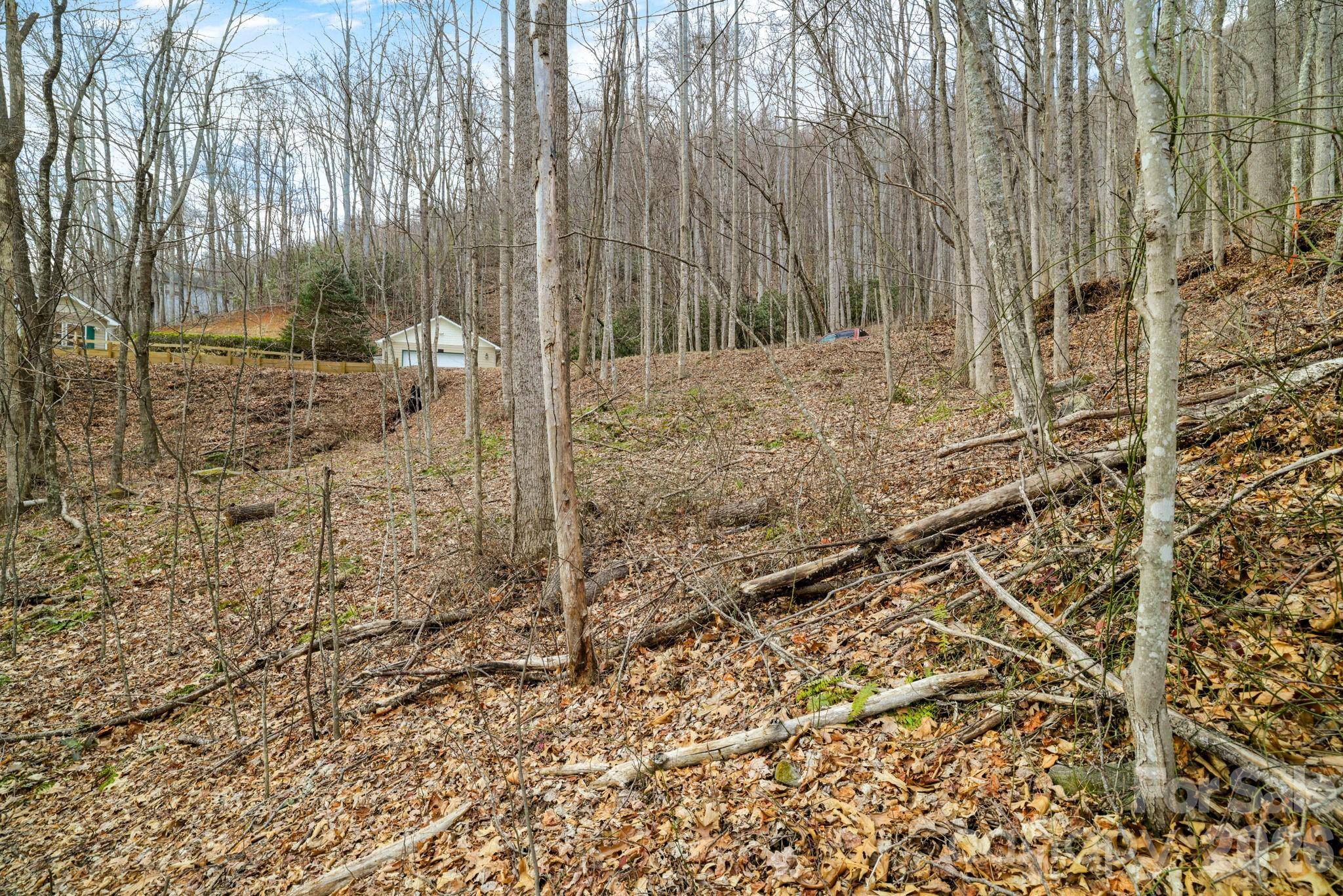 00 Sleepy Hollow DR #6, Maggie Valley, NC 28751