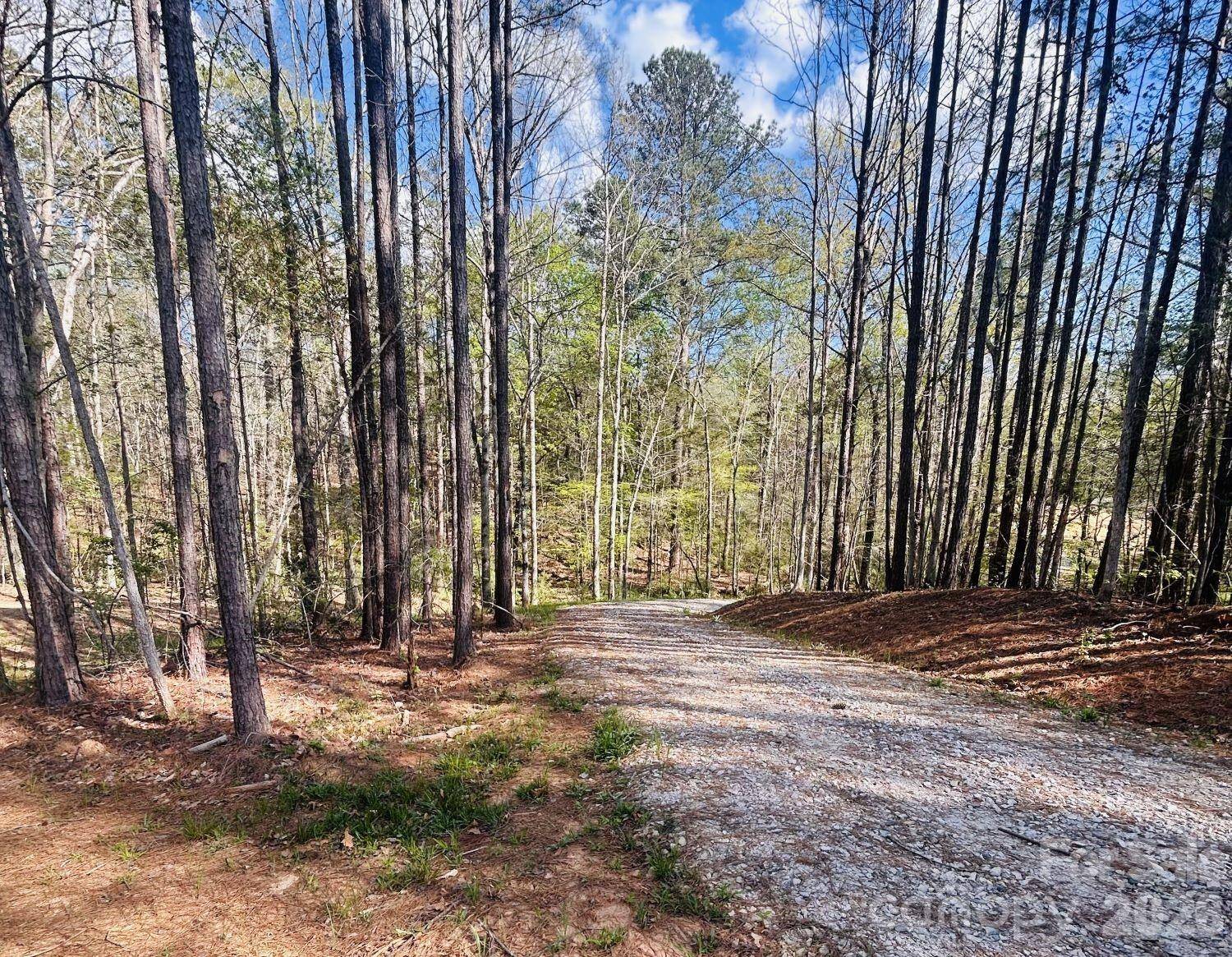 0 Peden Bridge RD, Chester, SC 29706