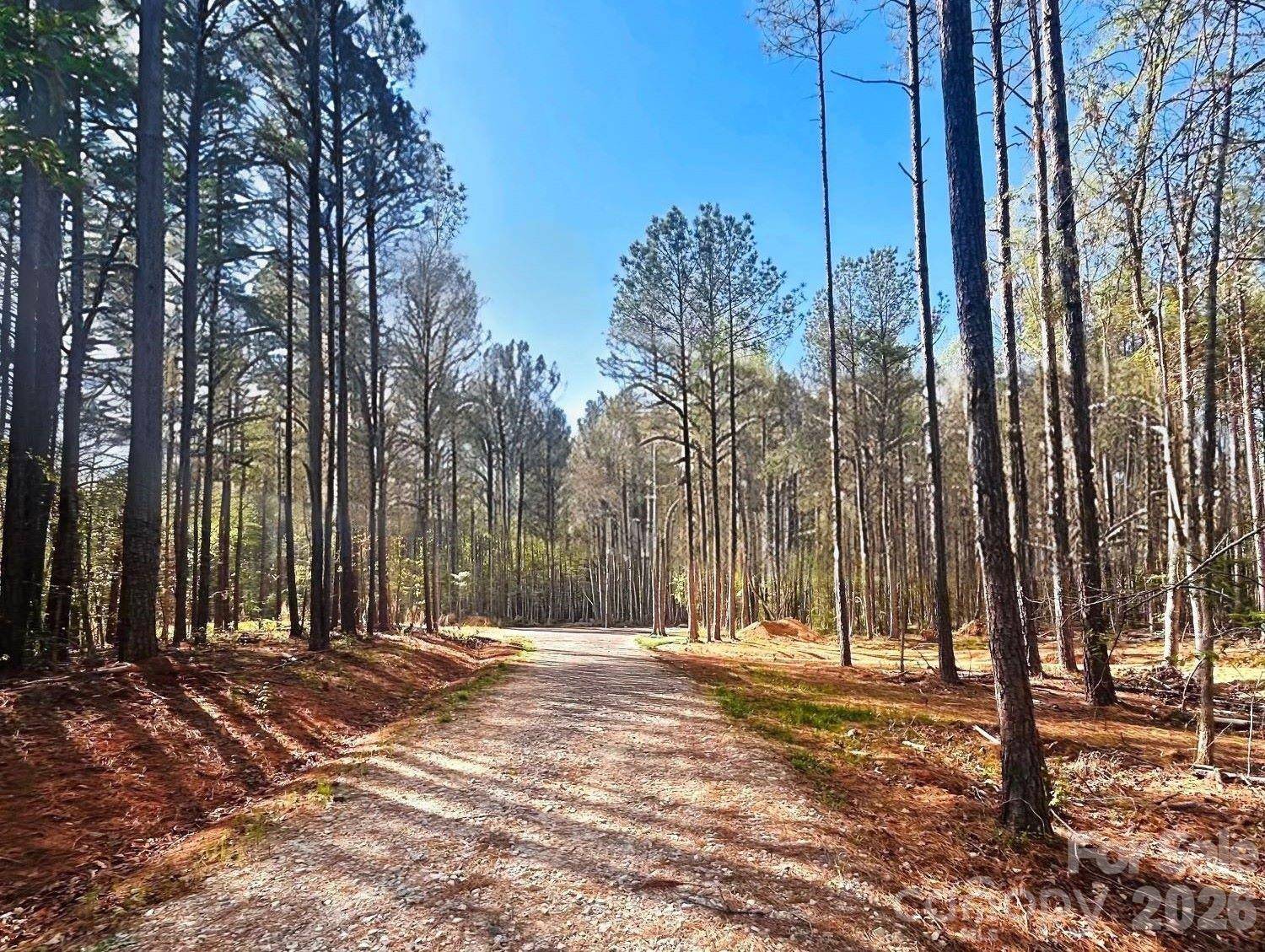 0 Peden Bridge RD, Chester, SC 29706