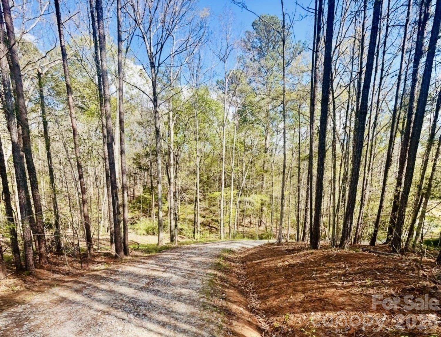 0 Peden Bridge RD, Chester, SC 29706