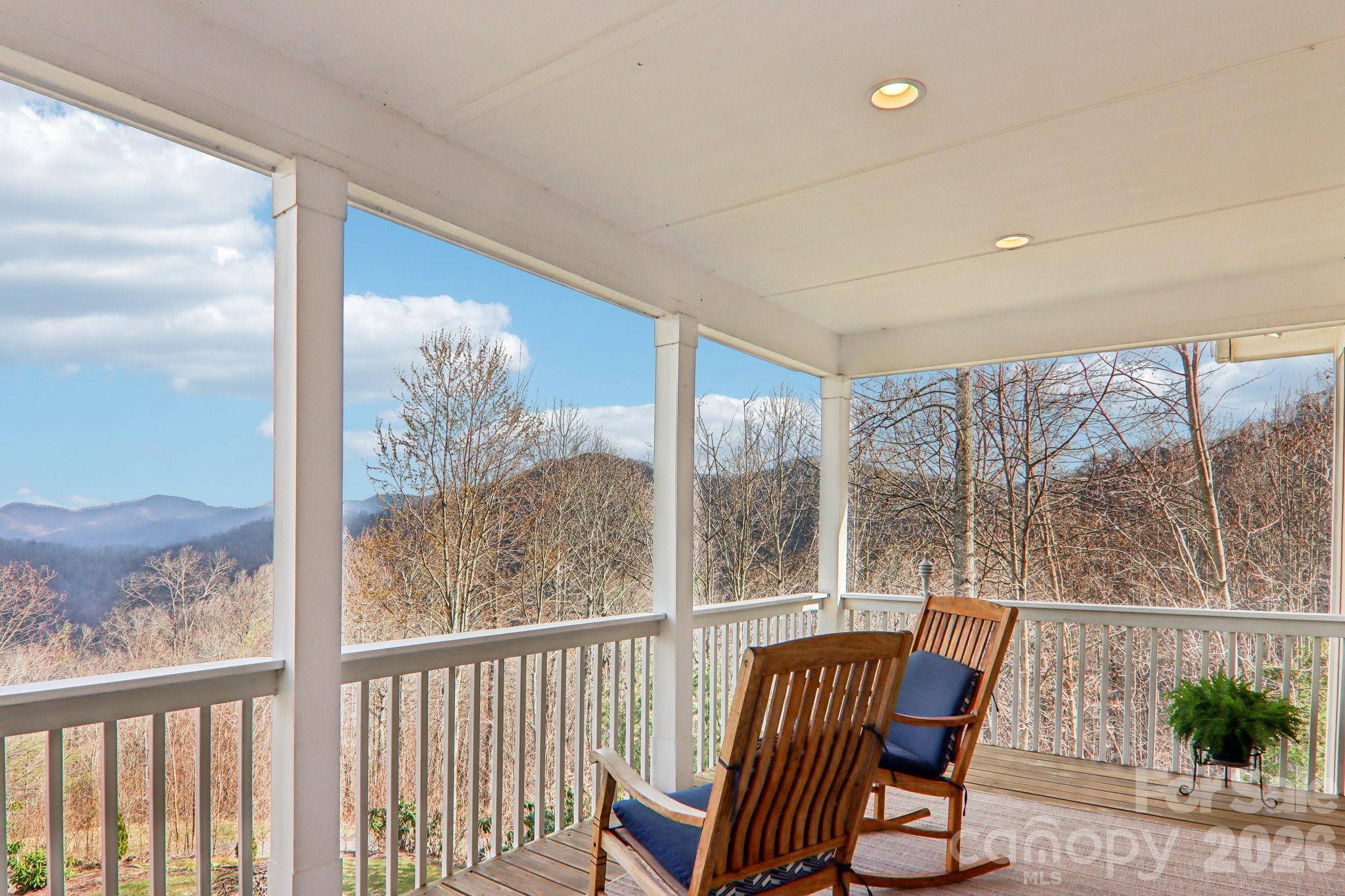 14 Chandra LN, Clyde, NC 28721