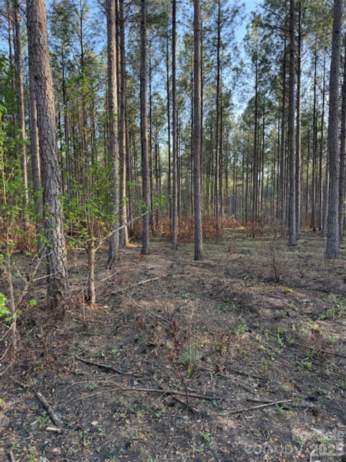 00 Clark Mountain RD, Lilesville, NC 28091