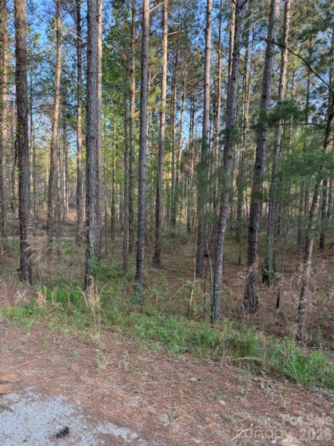 00 Clark Mountain RD, Lilesville, NC 28091