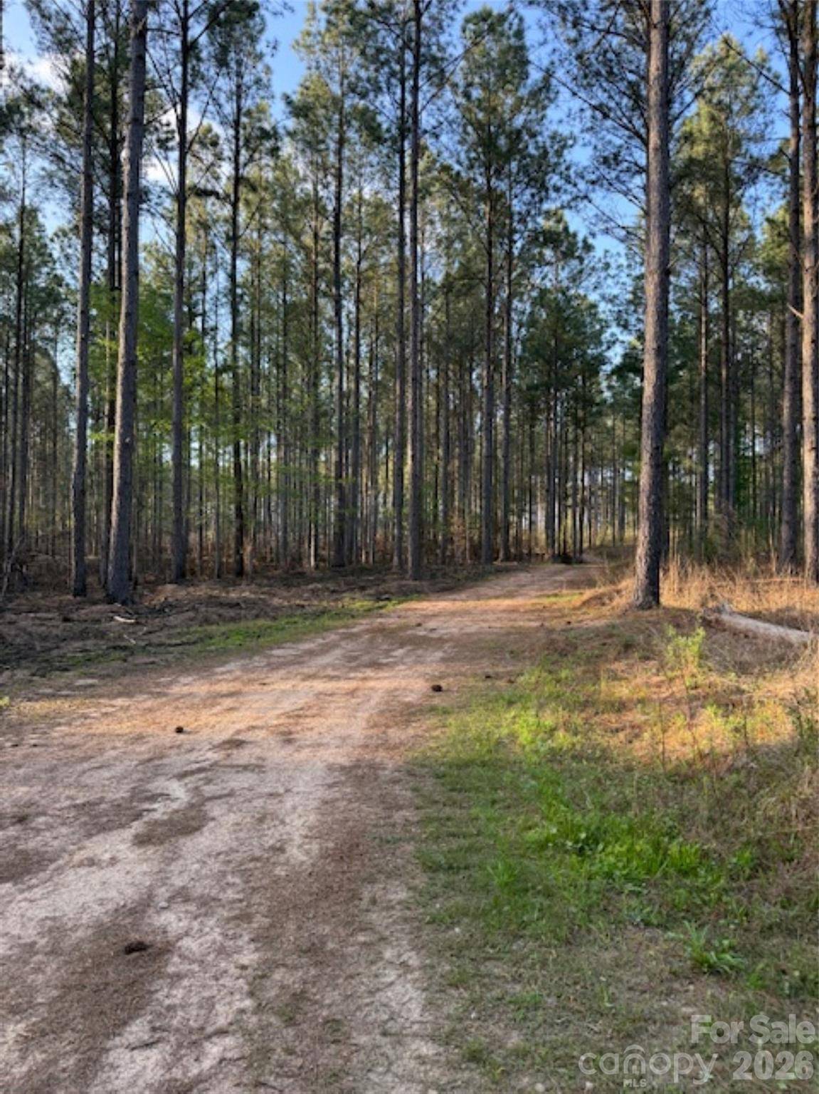 00 Clark Mountain RD, Lilesville, NC 28091
