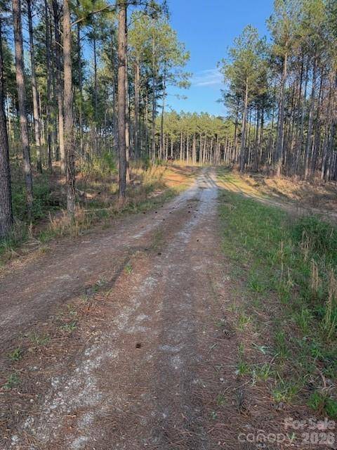 00 Clark Mountain RD, Lilesville, NC 28091