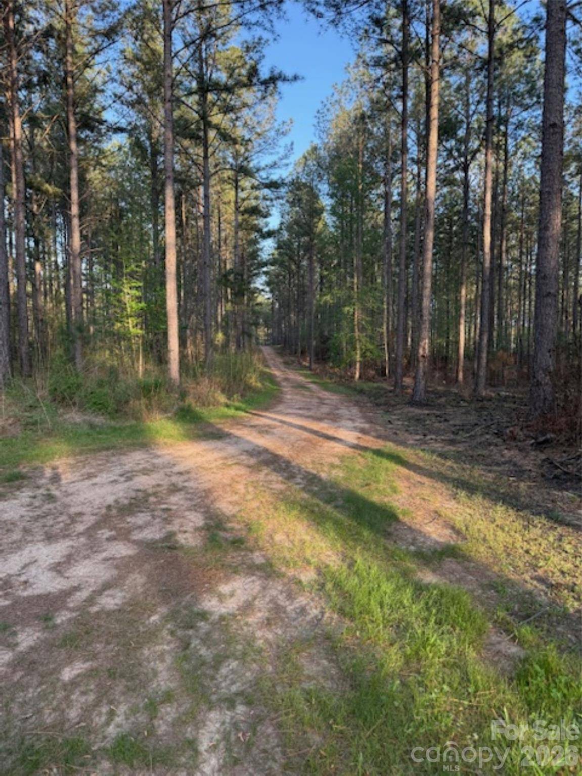 00 Clark Mountain RD, Lilesville, NC 28091