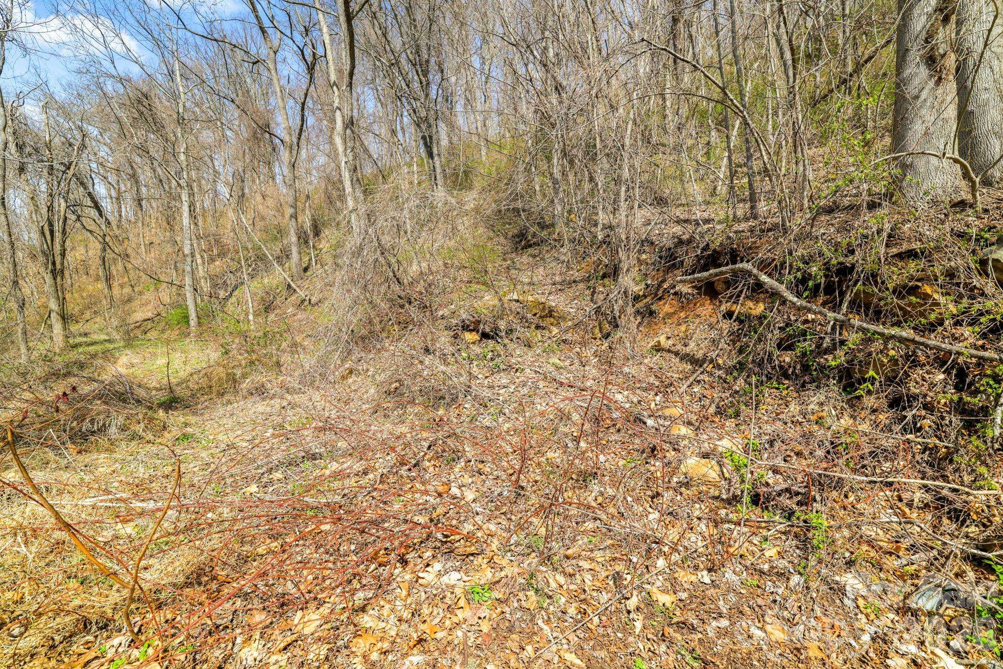 00 Panorama DR #16, Waynesville, NC 28786