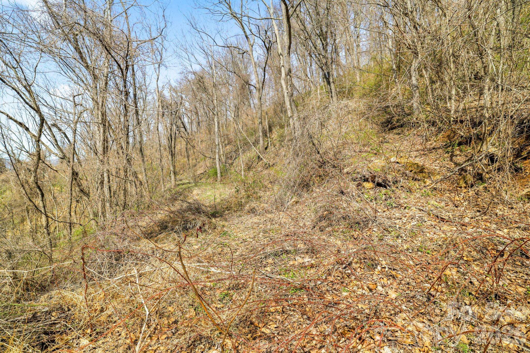 00 Panorama DR #16, Waynesville, NC 28786