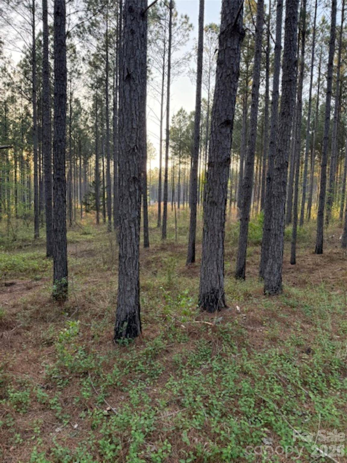 00 Spencer Pointe RD, Lilesville, NC 28091