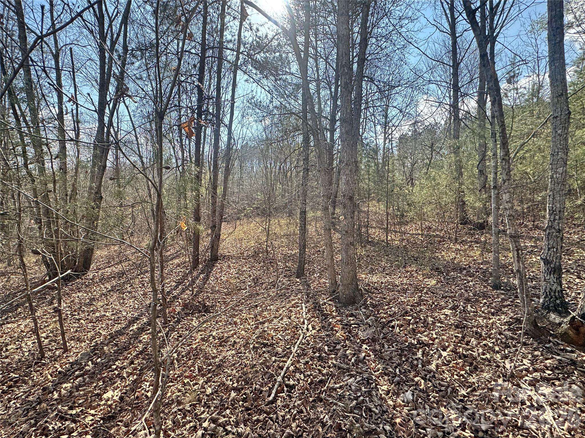 VL Amberwood PL #17, Rutherfordton, NC 28139