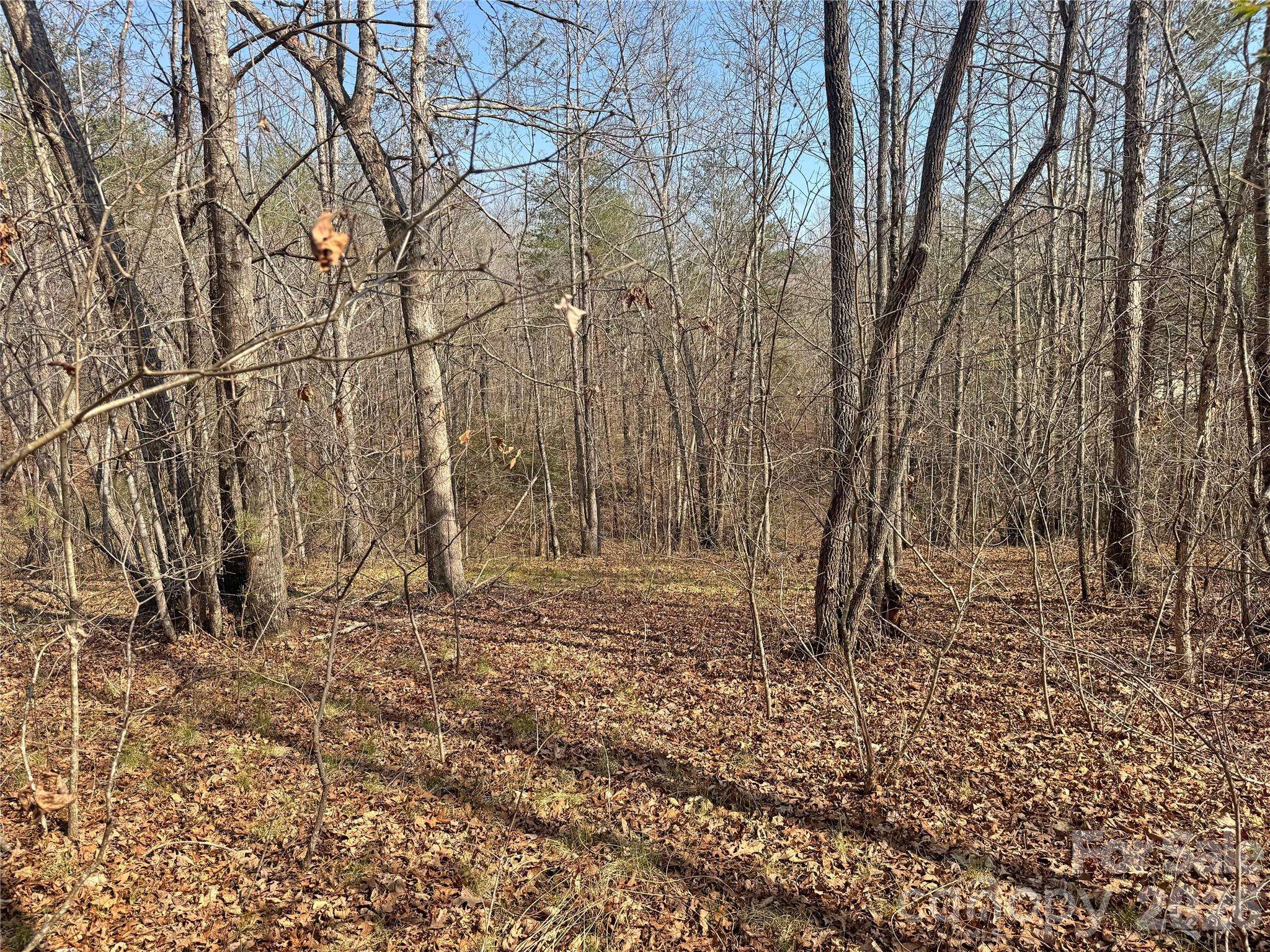 VL Amberwood PL #17, Rutherfordton, NC 28139