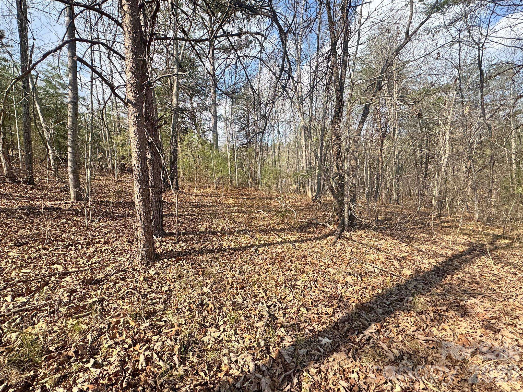 VL Amberwood PL #17, Rutherfordton, NC 28139