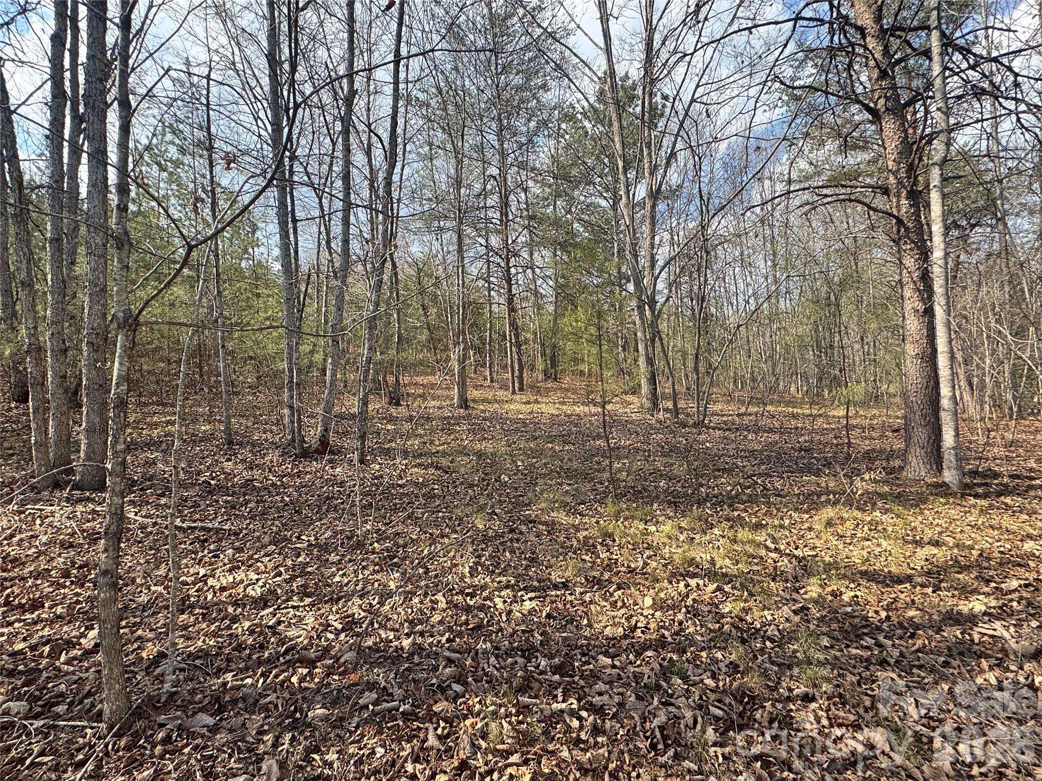 VL Amberwood PL #17, Rutherfordton, NC 28139