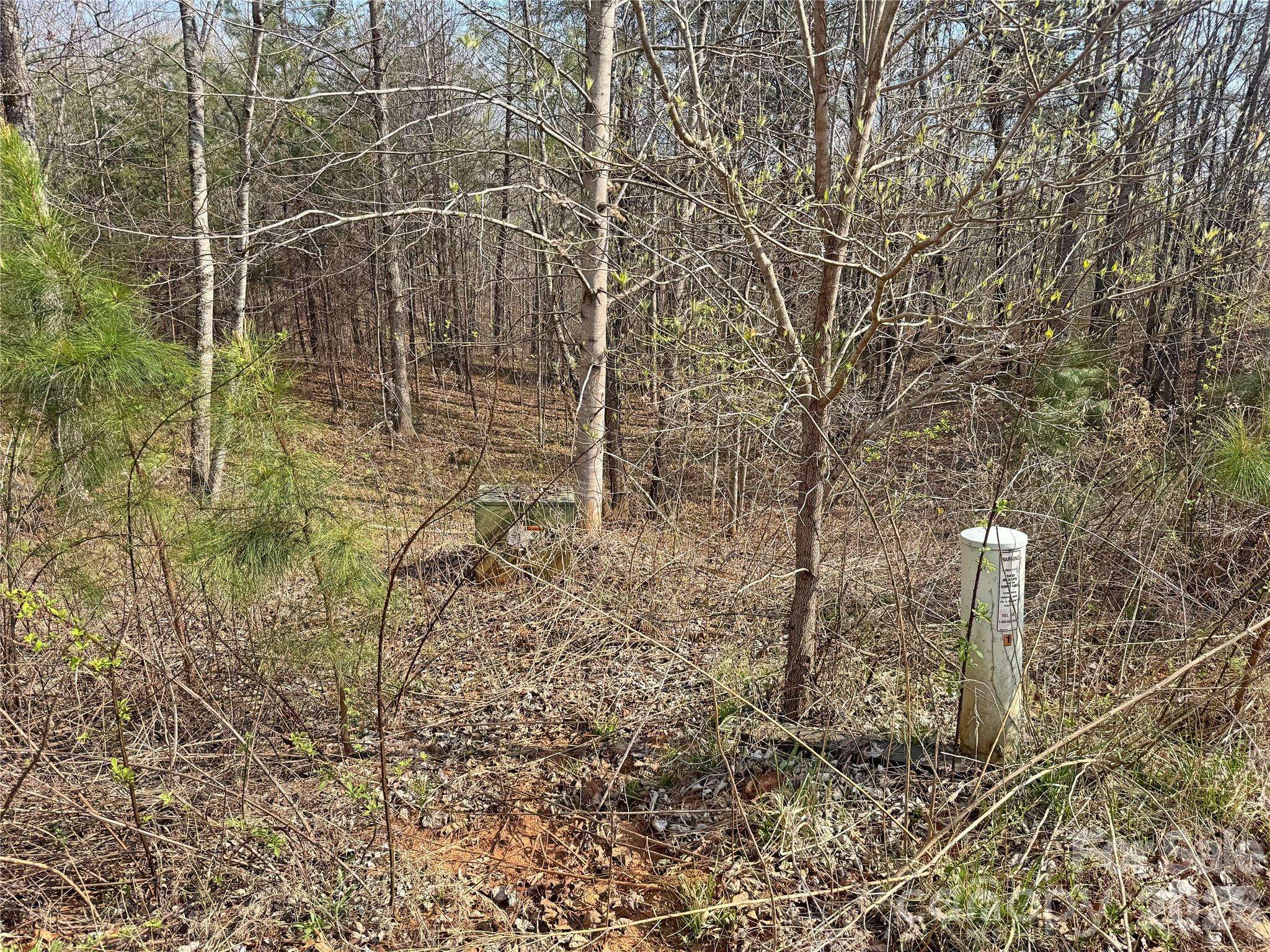 VL Amberwood PL #17, Rutherfordton, NC 28139