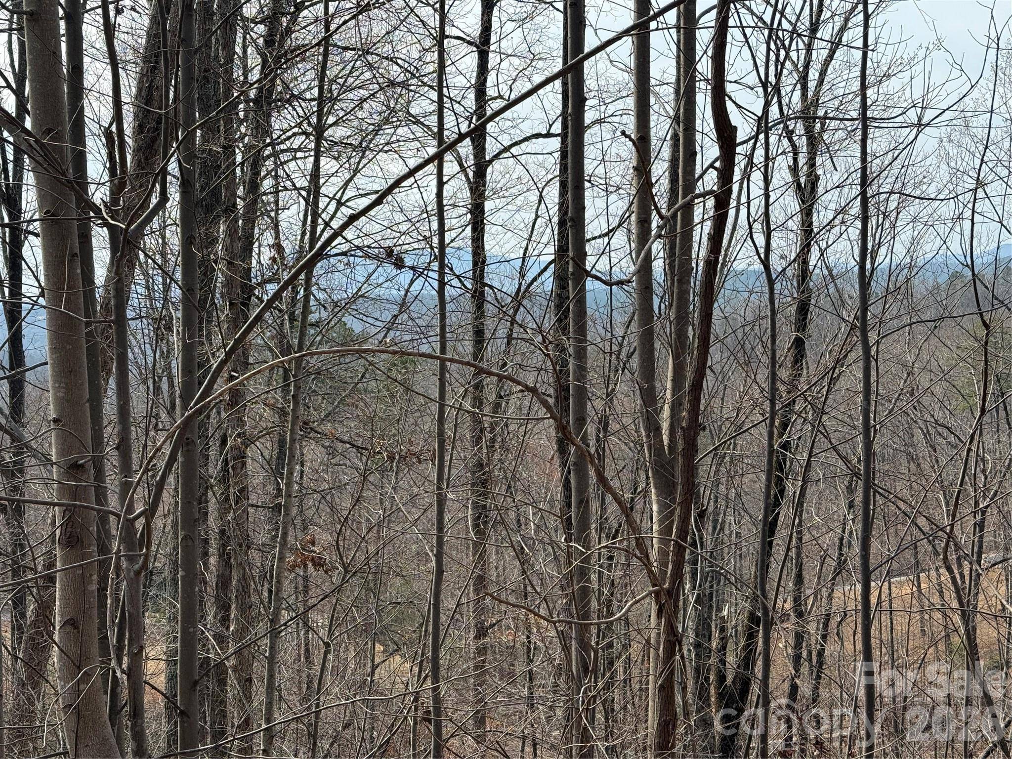 Lot 236 Rock Ledge DR, Lake Lure, NC 28746