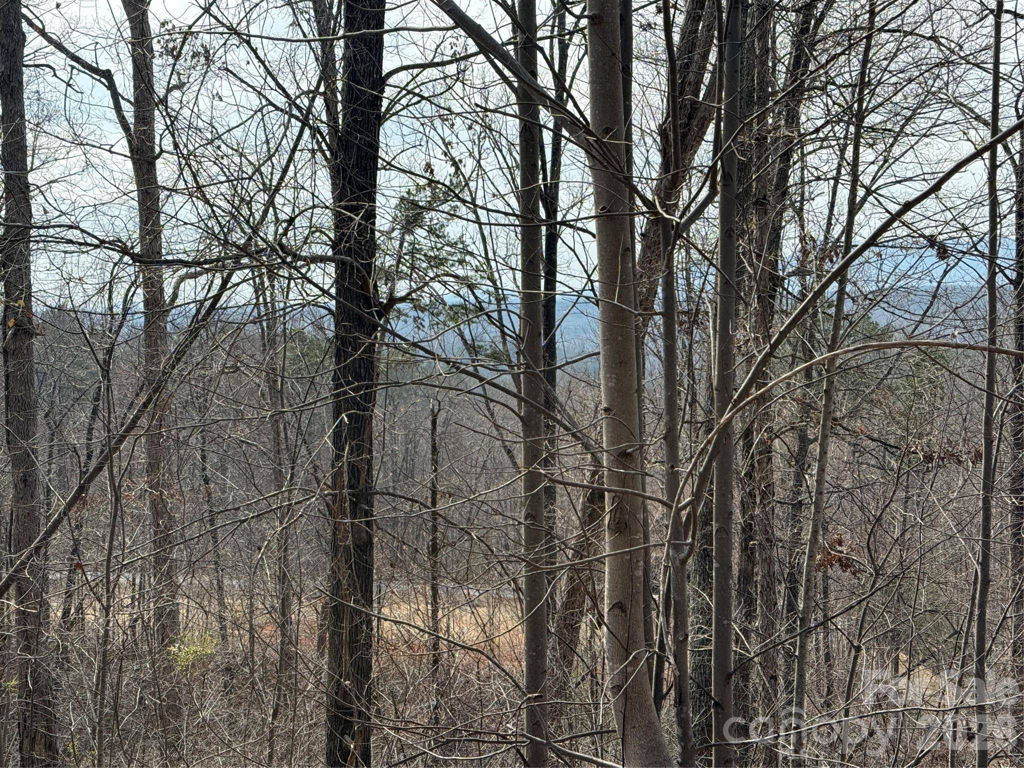 Lot 236 Rock Ledge DR, Lake Lure, NC 28746
