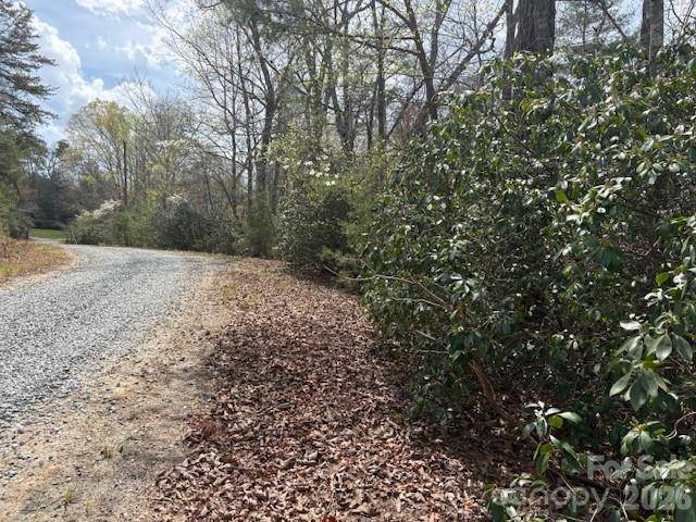 0 Poodles WAY #291, Lake Lure, NC 28746
