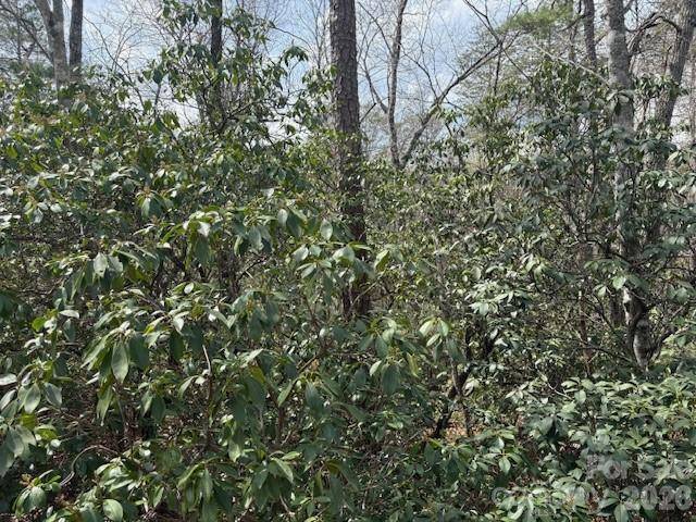 0 Poodles WAY #291, Lake Lure, NC 28746