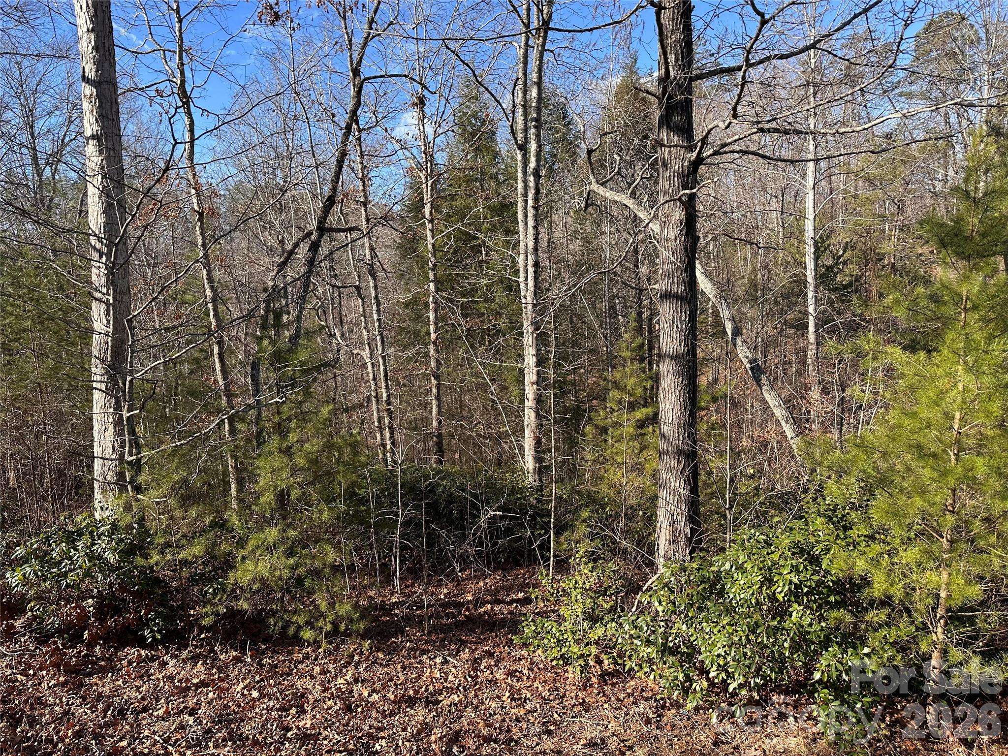 0 Rock Ledge DR, Lake Lure, NC 28746