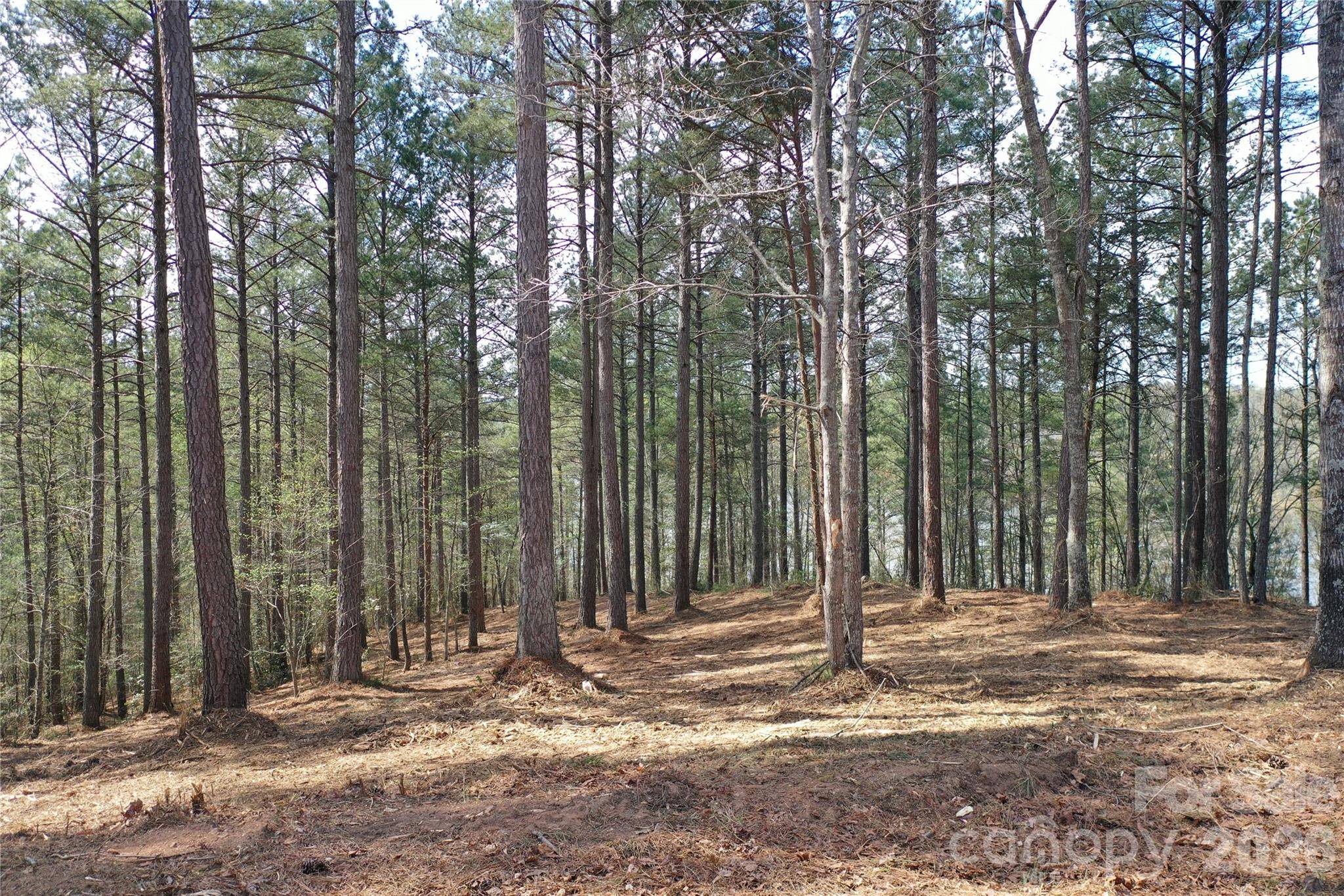2299 Lighthouse LN #76, Connelly Springs, NC 28612