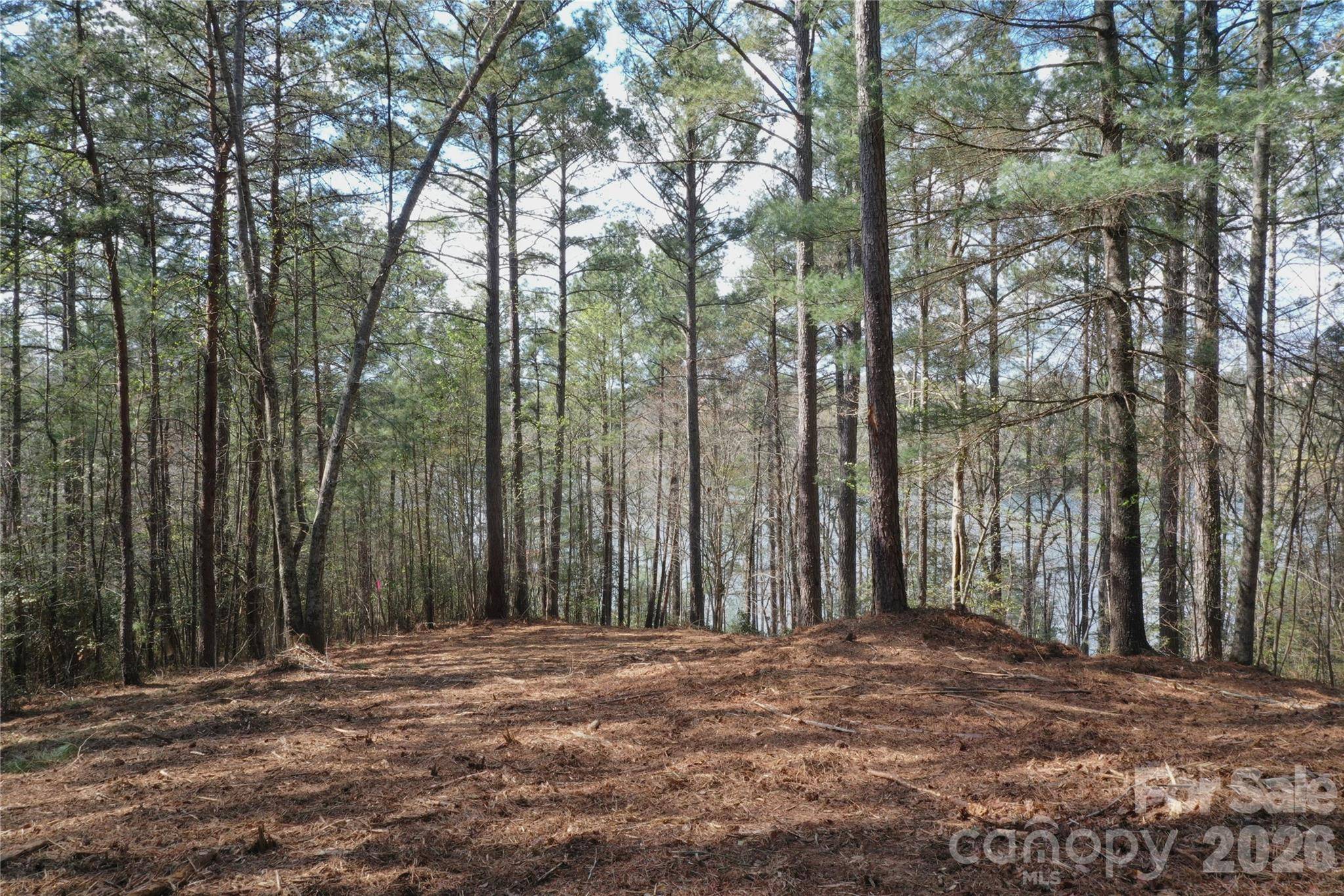 2299 Lighthouse LN #76, Connelly Springs, NC 28612