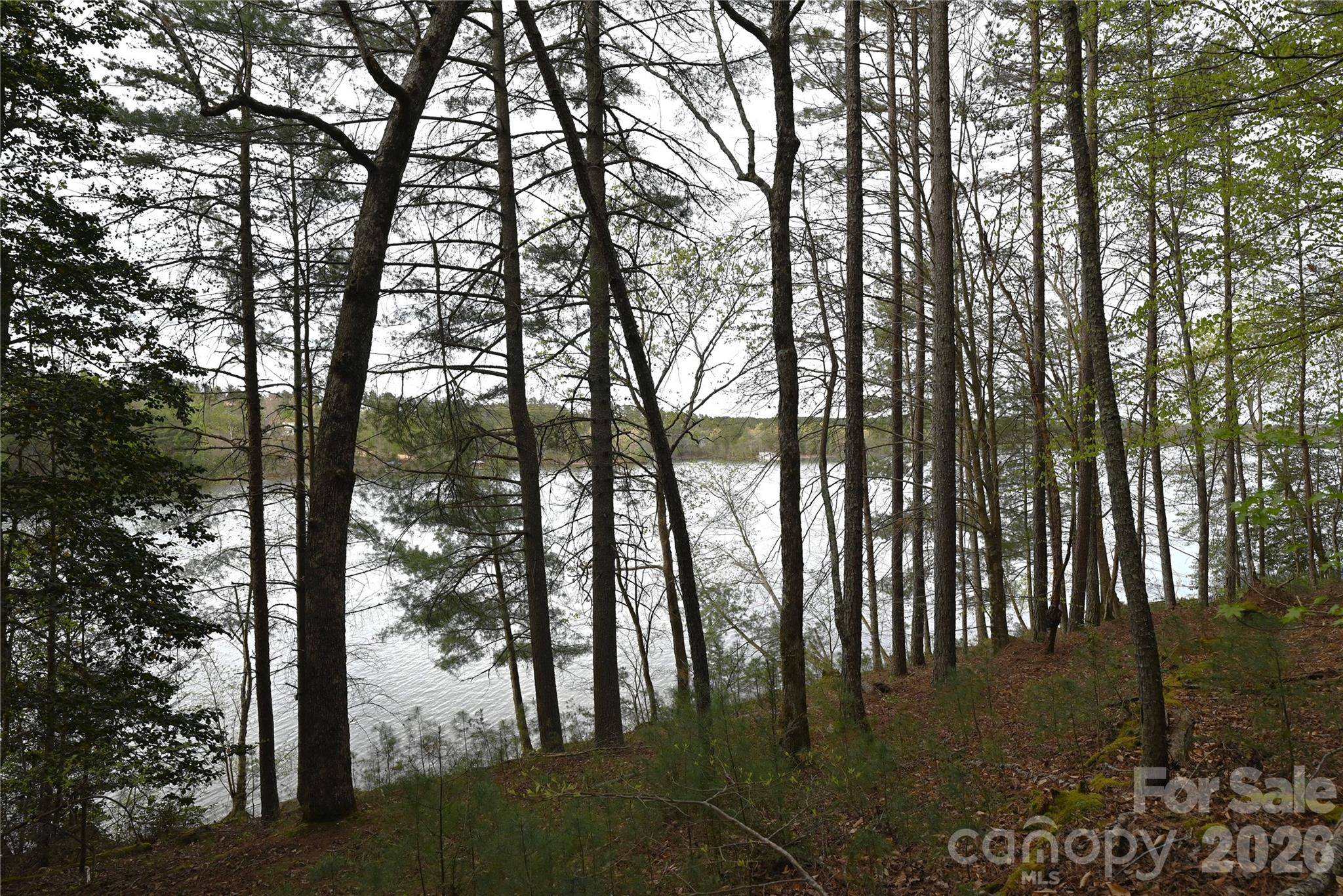 2299 Lighthouse LN #76, Connelly Springs, NC 28612