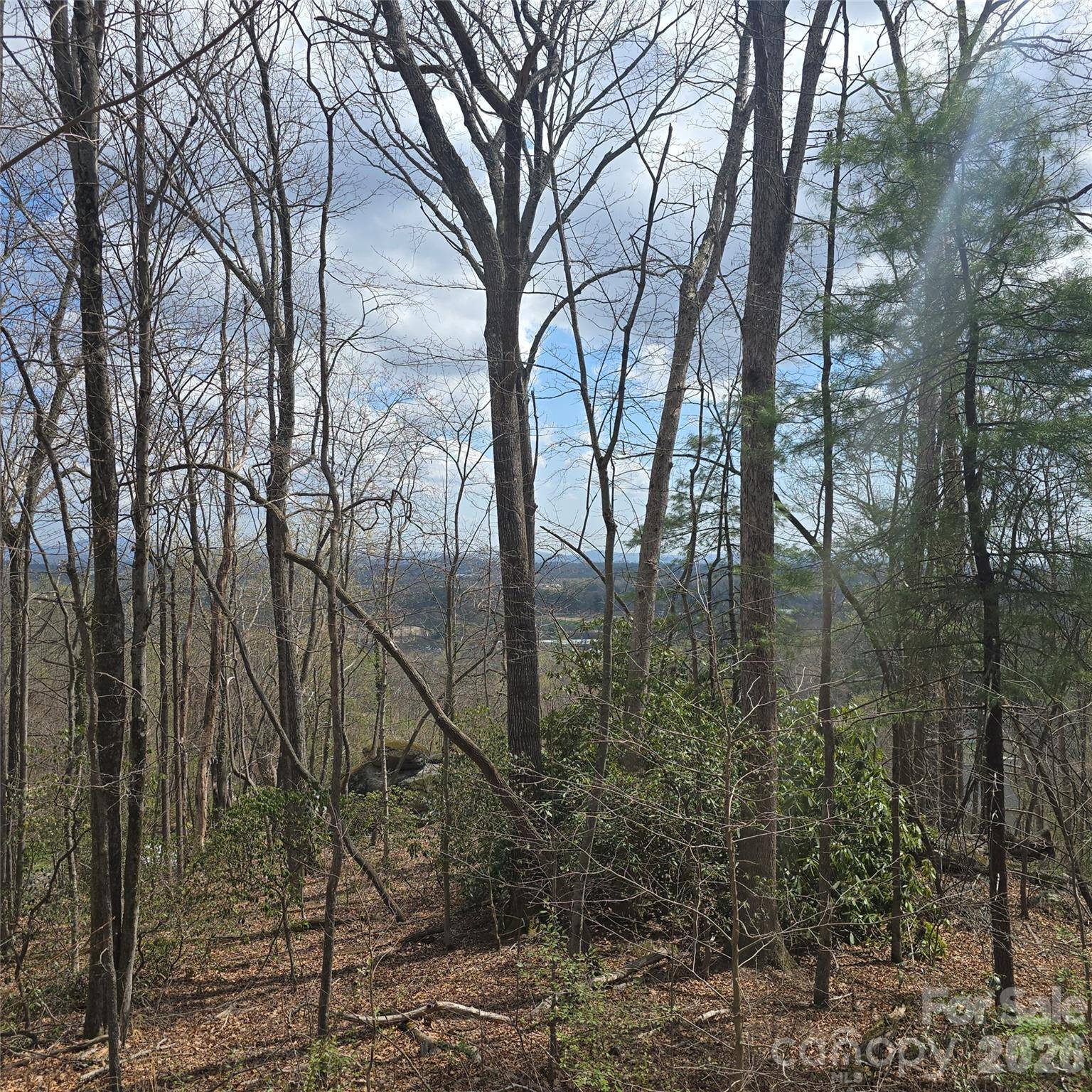 185 Garnet WAY #Lot 13, Hendersonville, NC 28791