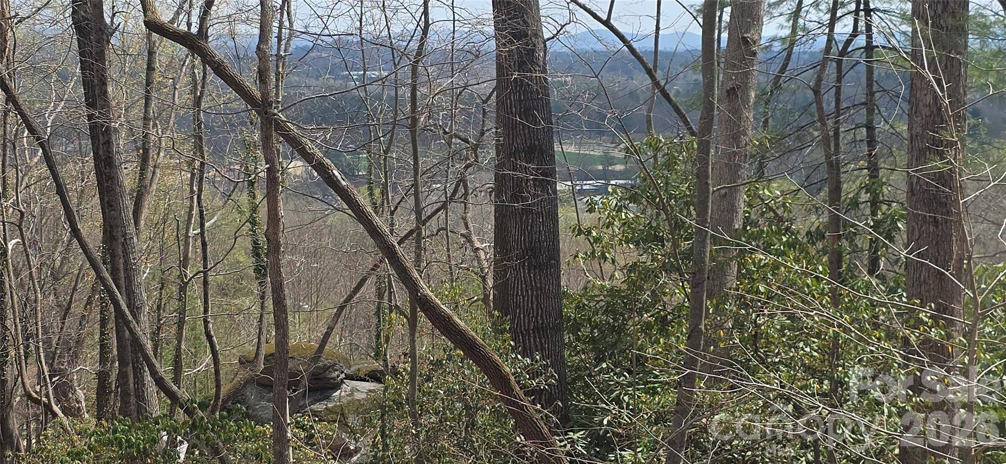 185 Garnet WAY #Lot 13, Hendersonville, NC 28791