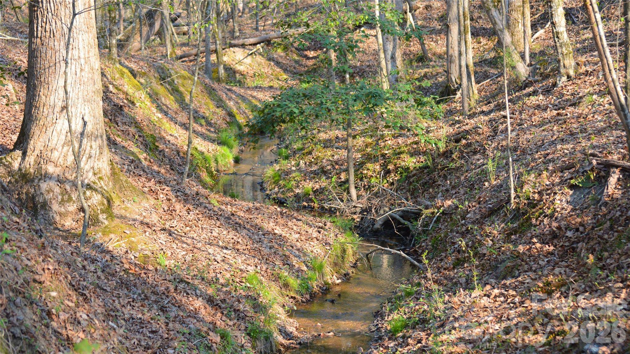 00 Peter Hawk Creek RD #10, Jonesville, SC 29353
