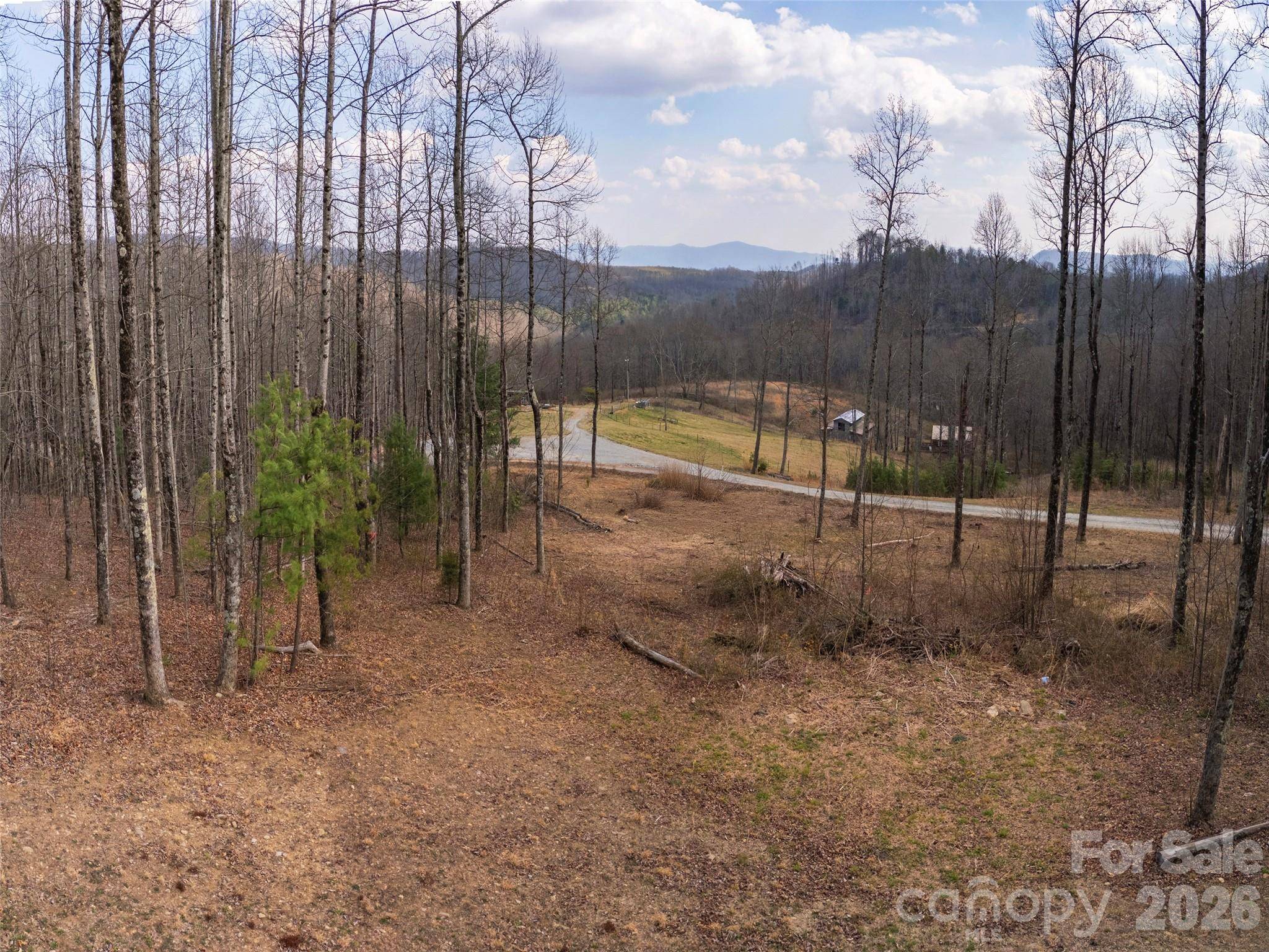 220 Simply Grateful DR, Hendersonville, NC 28792