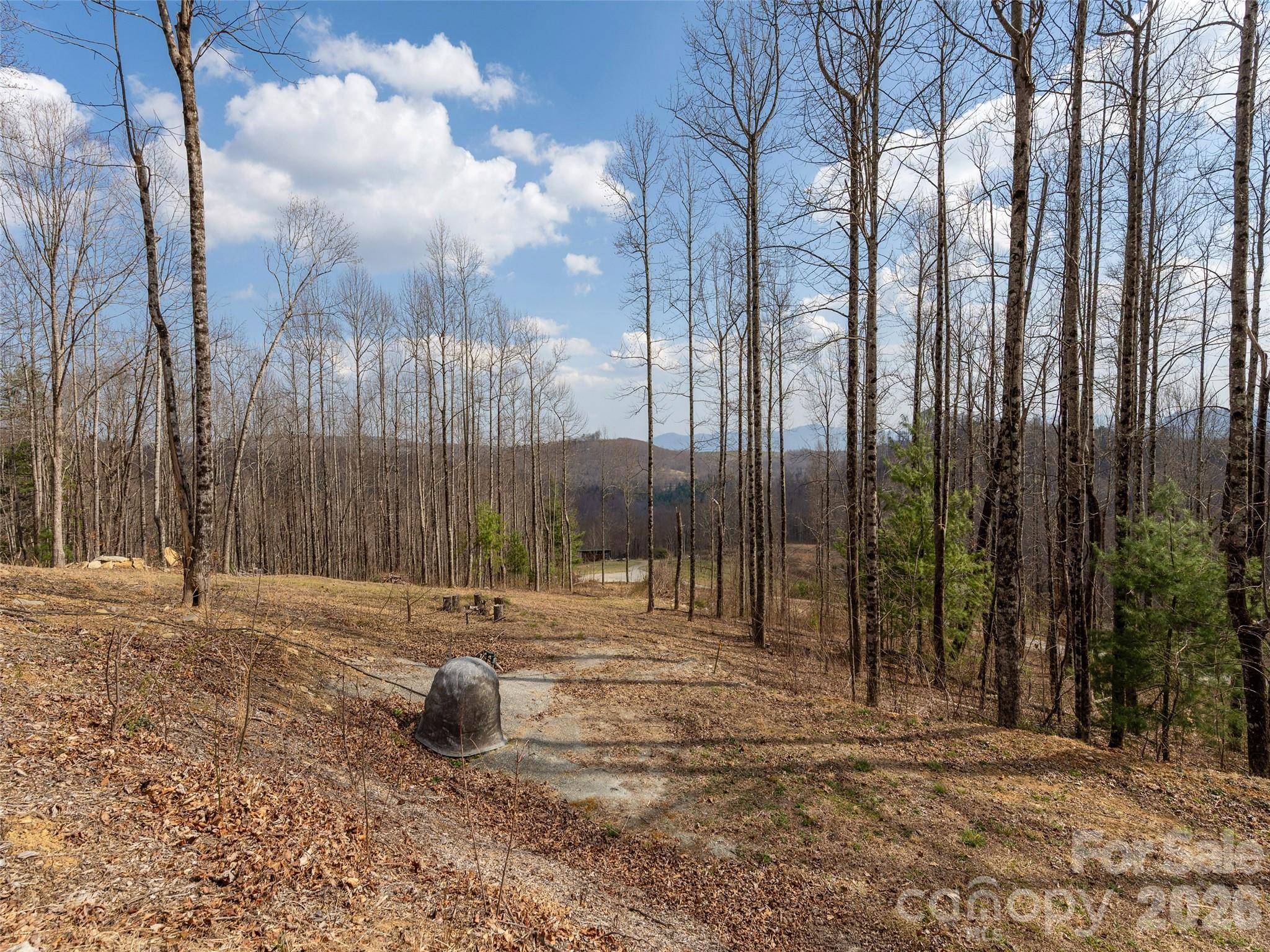 220 Simply Grateful DR, Hendersonville, NC 28792