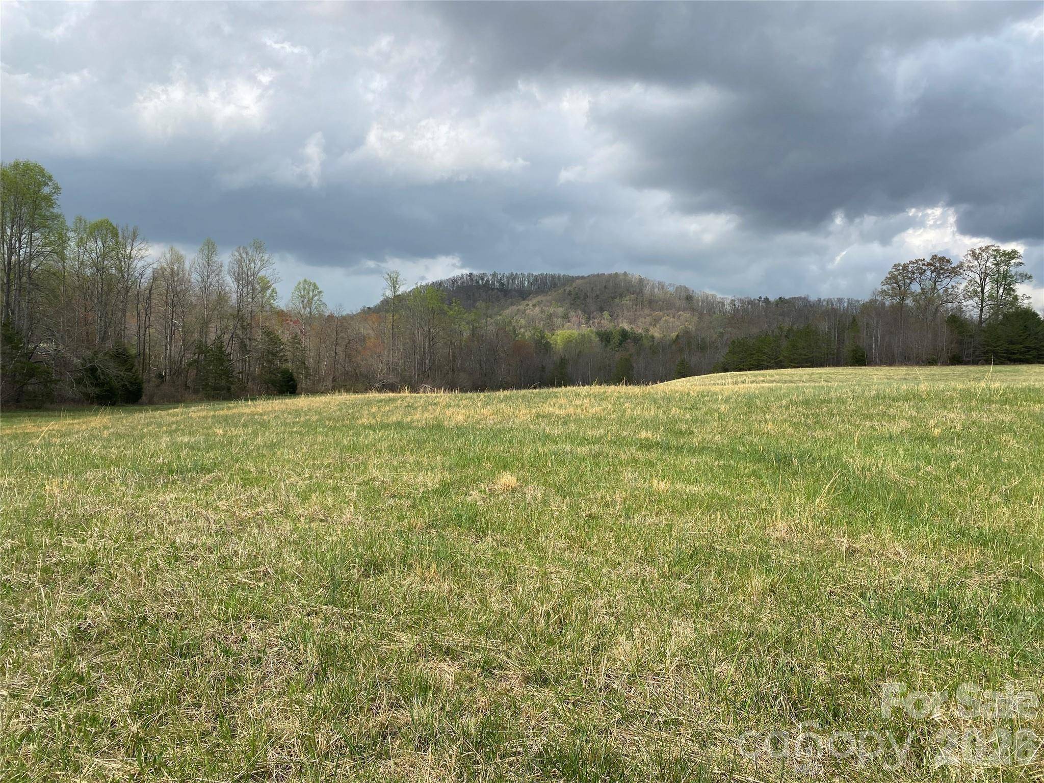 00 Cane Creek Mountain RD #2, Bostic, NC 28018