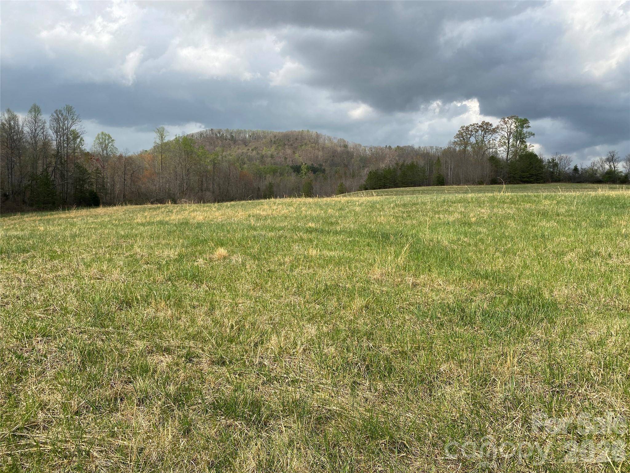 00 Cane Creek Mountain RD #2, Bostic, NC 28018