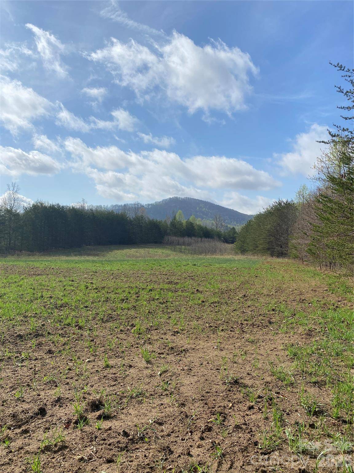 00 Cane Creek Mountain RD #1, Bostic, NC 28018