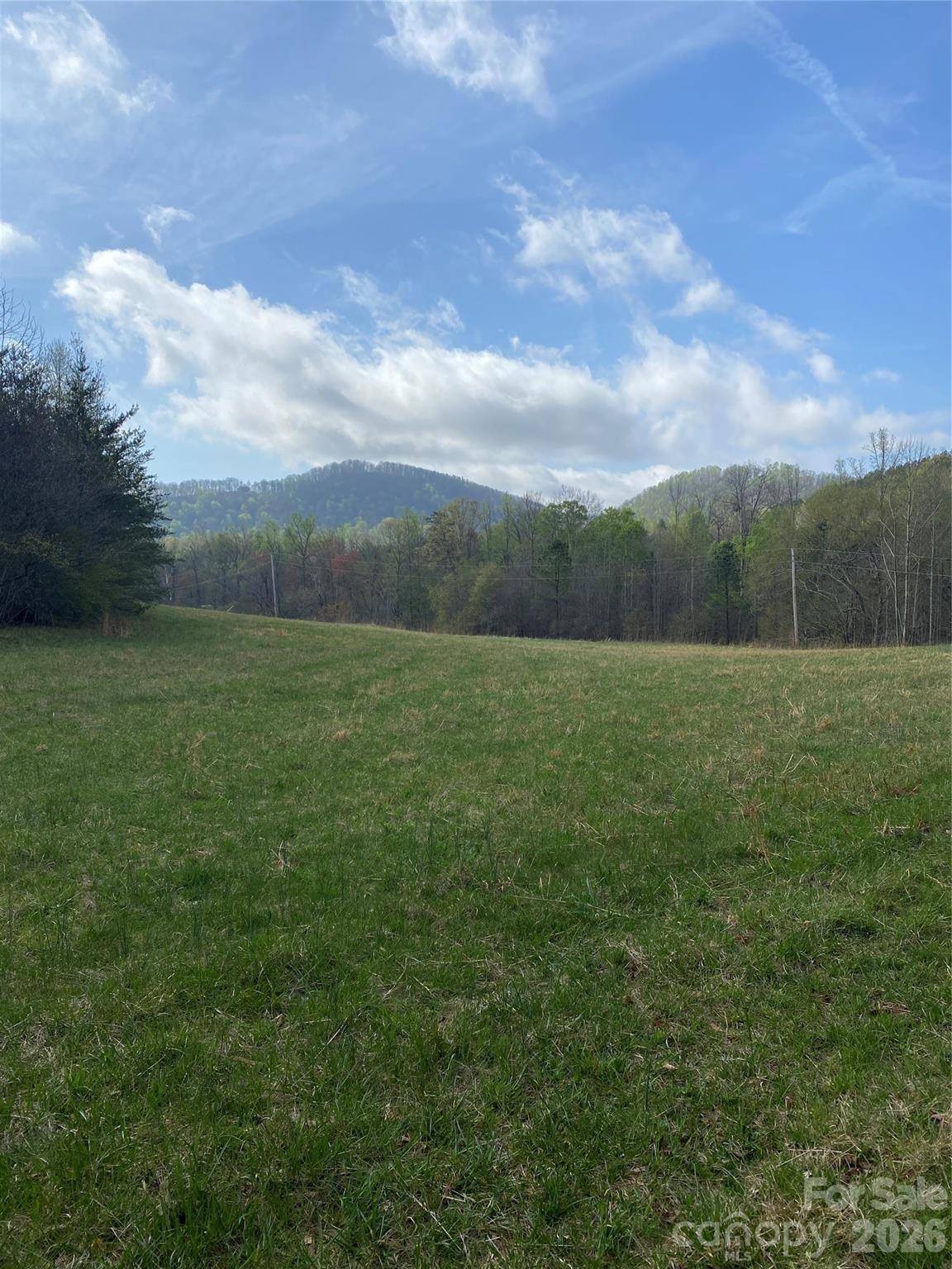 00 Cane Creek Mountain RD #1, Bostic, NC 28018