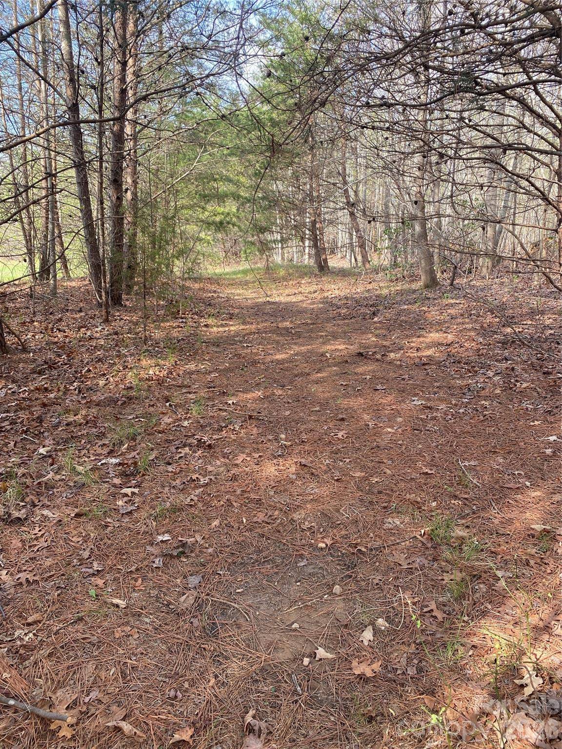 00 Cane Creek Mountain RD #1, Bostic, NC 28018