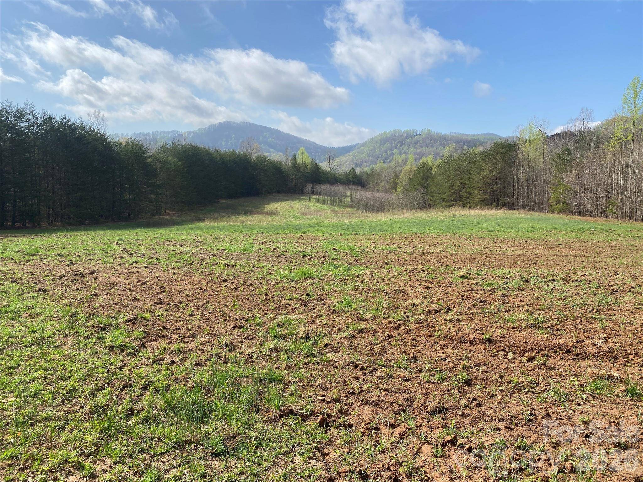 00 Cane Creek Mountain RD #1, Bostic, NC 28018