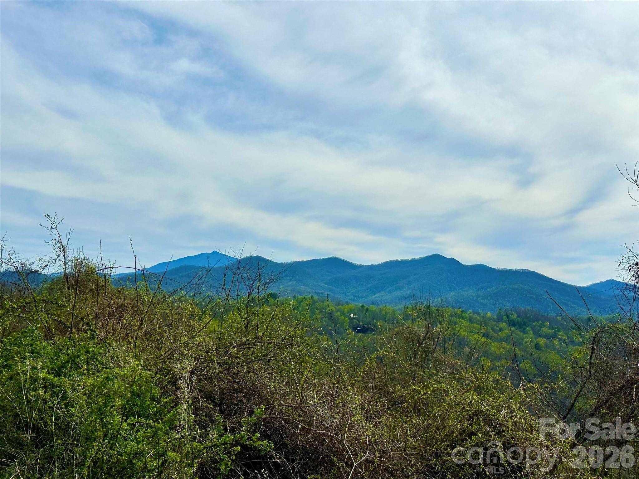 000 Sunset Mountain RD #12, Bakersville, NC 28705