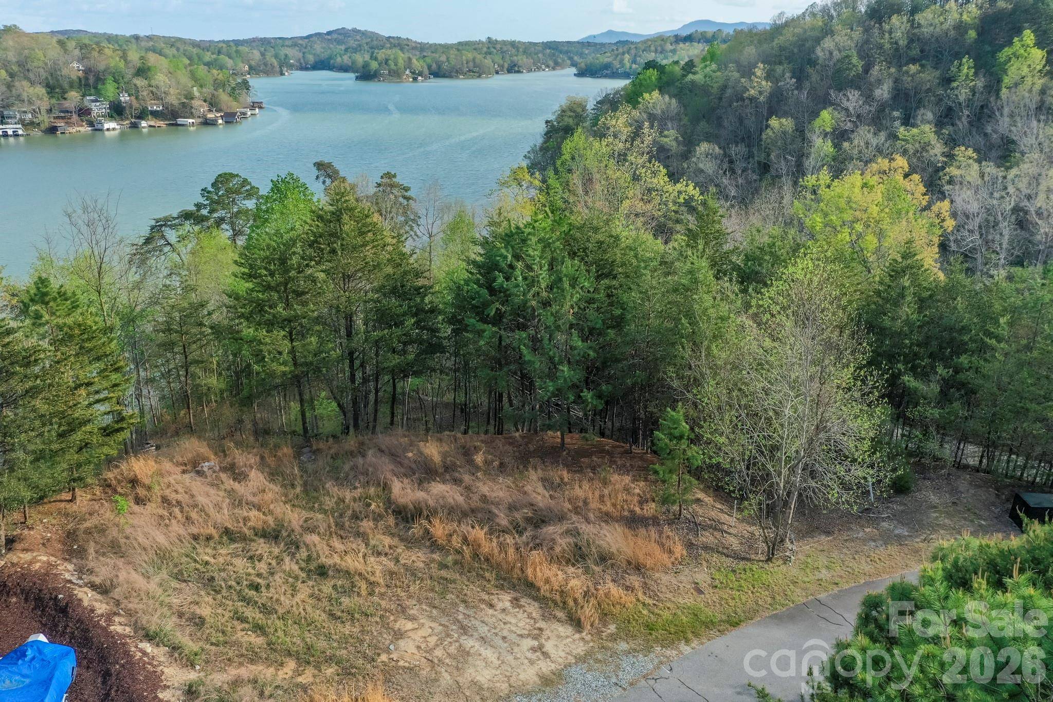 000 Holmstead DR, Lake Lure, NC 28746