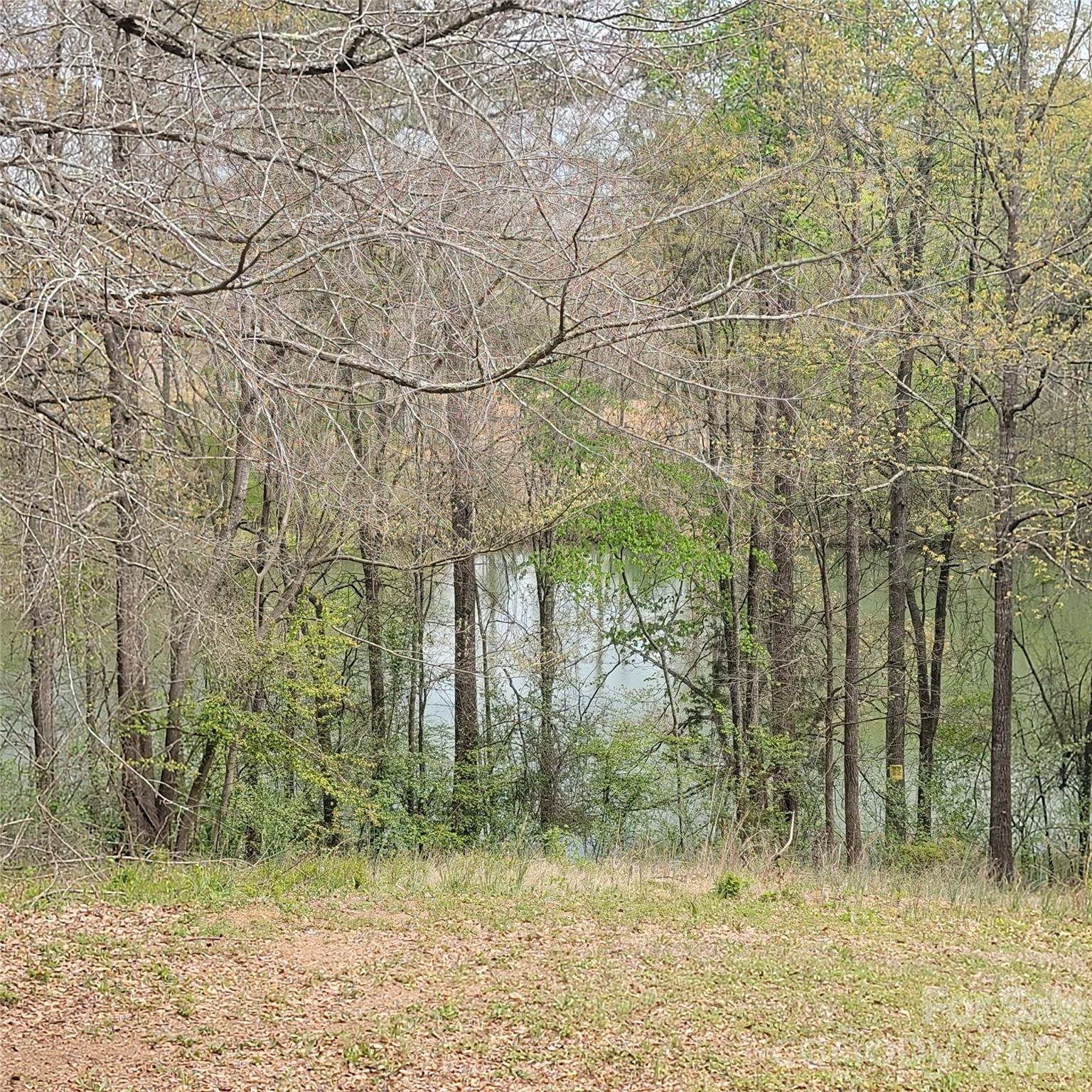 230 Walnut ST, Belmont, NC 28012