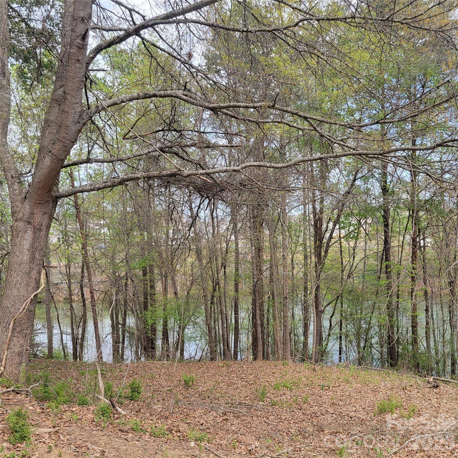 230 Walnut ST, Belmont, NC 28012